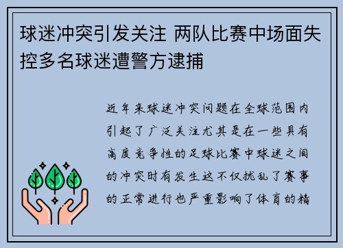 球迷冲突引发关注 两队比赛中场面失控多名球迷遭警方逮捕