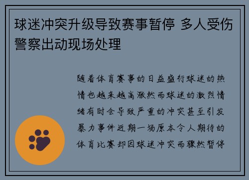 球迷冲突升级导致赛事暂停 多人受伤警察出动现场处理