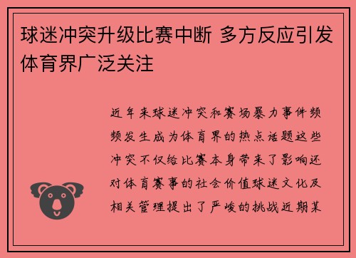球迷冲突升级比赛中断 多方反应引发体育界广泛关注 球迷冲突升级比赛中断 多方反应引发体育界广泛关注